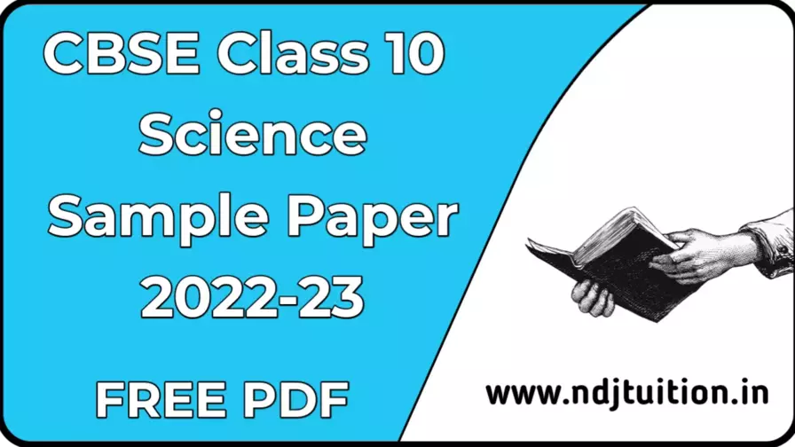 class 10th sample paper