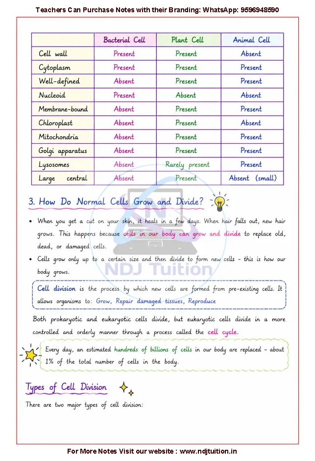 Cell The Building Block of Life Notes PDF