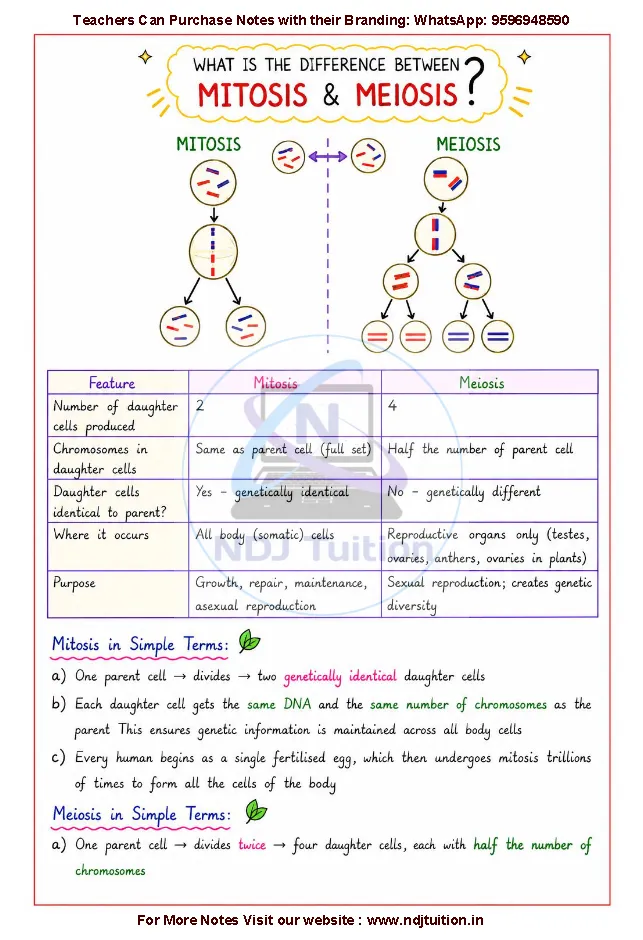 Cell The Building Block of Life Notes PDF