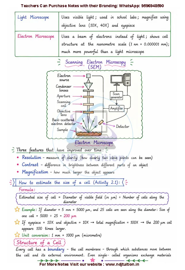 Cell The Building Block of Life Notes PDF