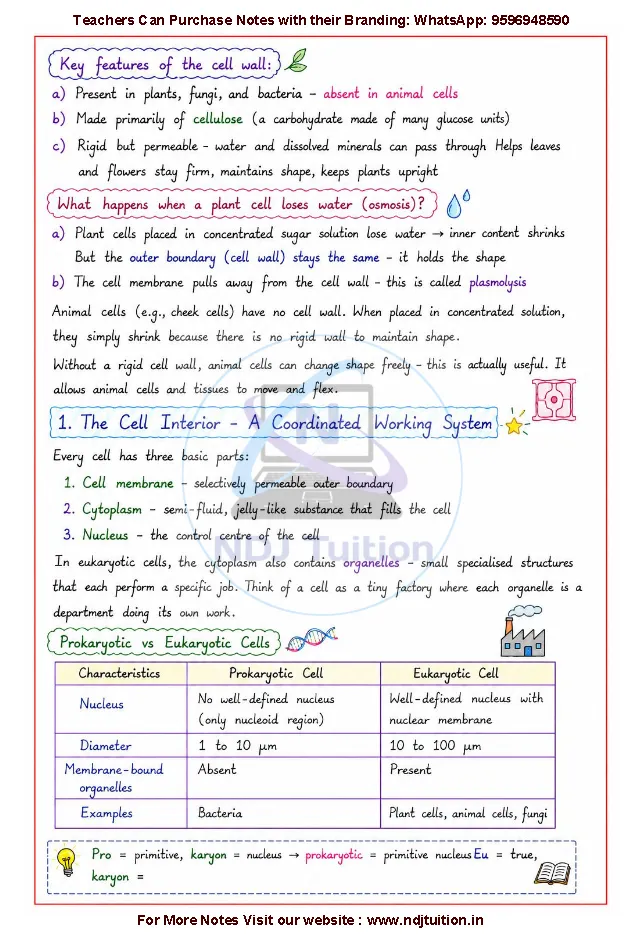 Cell The Building Block of Life Notes PDF