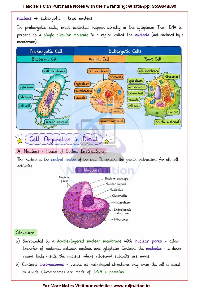 Cell The Building Block of Life Notes PDF