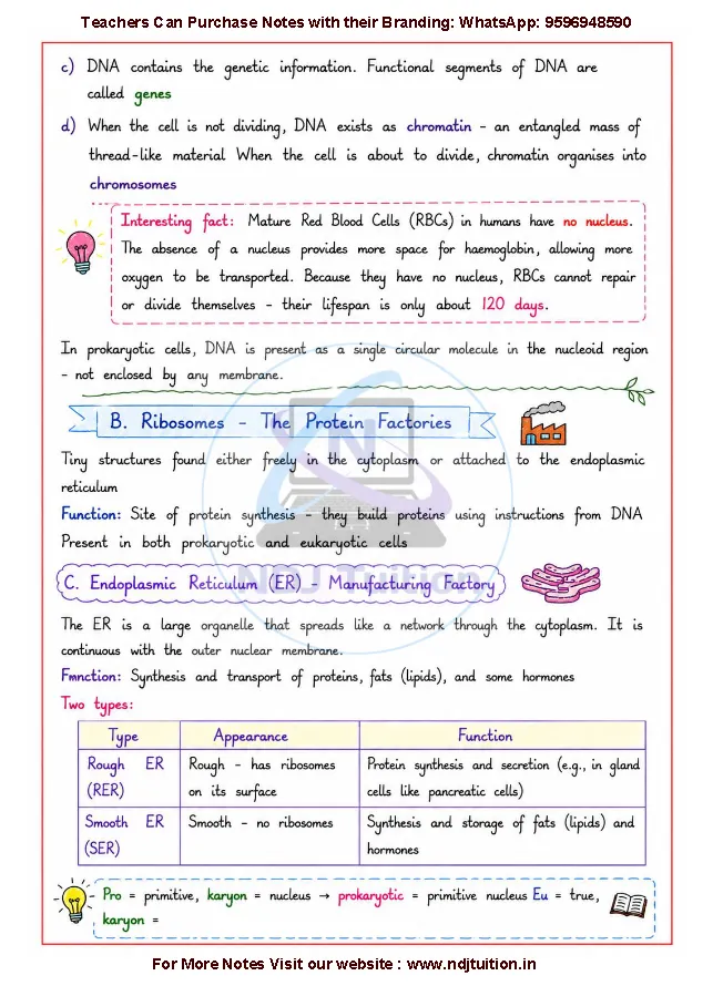 Cell The Building Block of Life Notes PDF