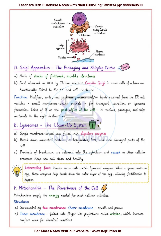 Cell The Building Block of Life Notes PDF