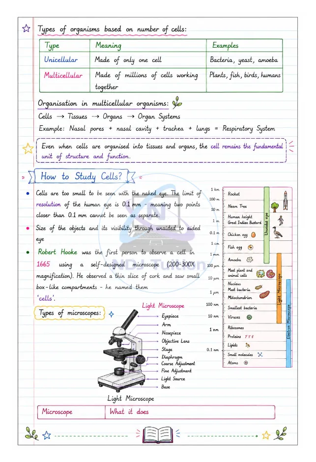 9th Science Colourful Handwritten Notes - Image 3